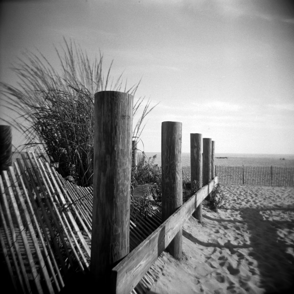 chal_and_bean's tweet photo. Down the Shore - 0.004 ETH
Holga Photography
https://t.co/HLrABm0uZP
https://t.co/CnnVXdeCXE
@Opensea #OpenSeaNFT #nftphotography https://t.co/fYYIyGxDBn