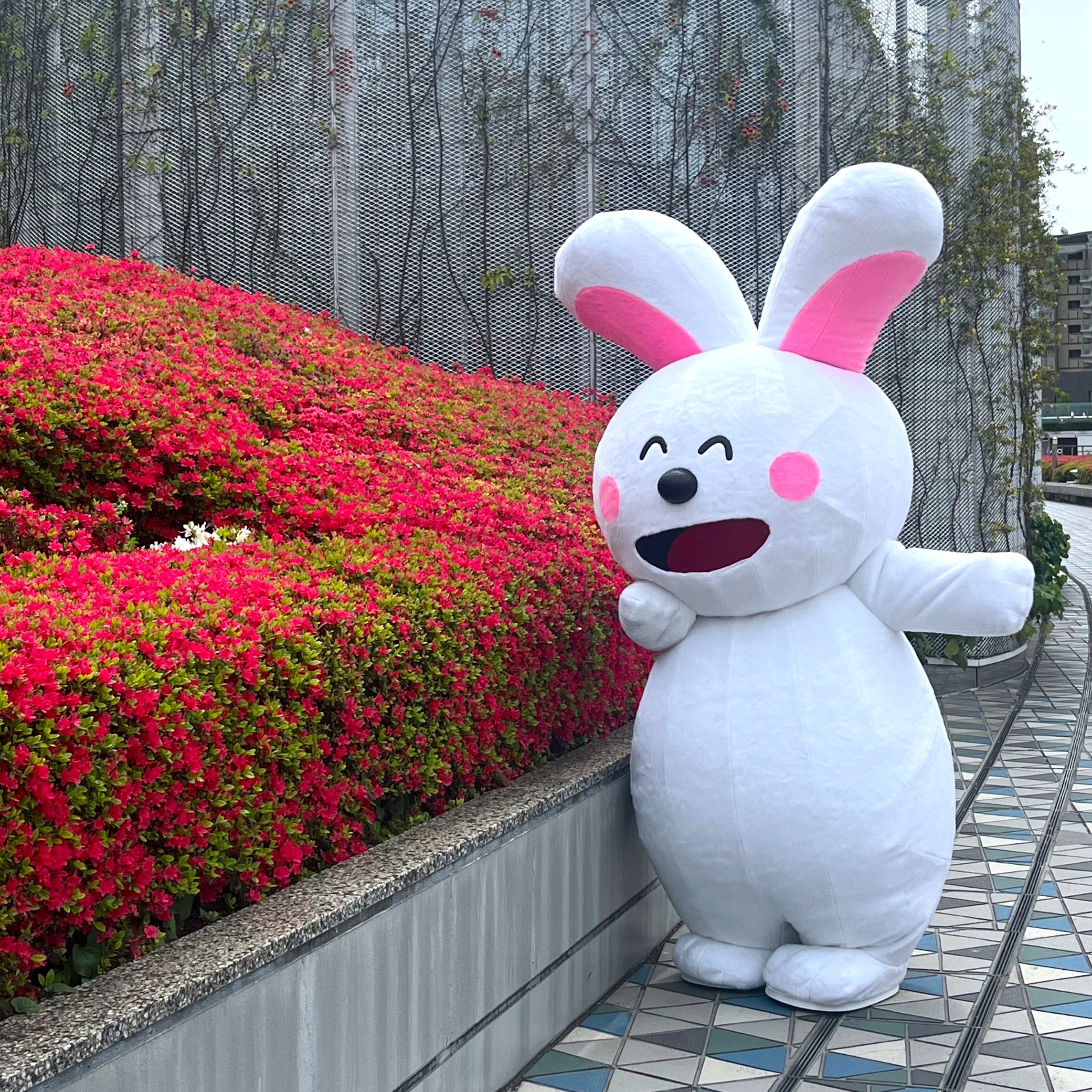 たべっ子どうぶつLAND on X: 