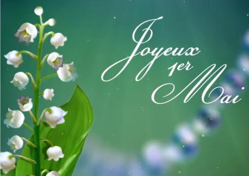 FSL_SMCDSB's tweet photo. Long associated with spring, renewal and luck, lily of the valley is given as a gift in France on 1 May, a public holiday known as La Fête du Muguet. https://t.co/06KwaVnuty
