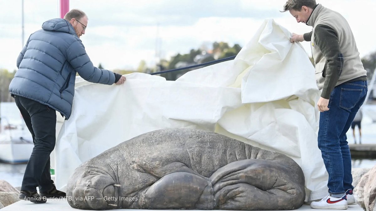 nytimes's tweet photo. A sculpture was unveiled in Oslo on Saturday in memory of Freya, the 1,300-pound walrus who lounged in highly populated areas of the Norwegian capital last summer before the authorities declared her a threat to human safety and killed her. https://t.co/QmnOvE7ibd https://t.co/NUiLgkDBkd