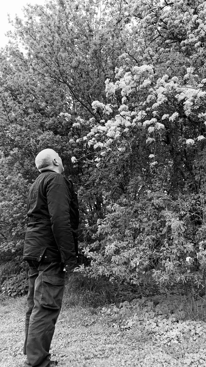 LJProductions96's tweet photo. Went on a walk today here is my dad admiring some flowers. 
•
•
#blackandwhitephotography #photograghy https://t.co/Bwgq9MTW32