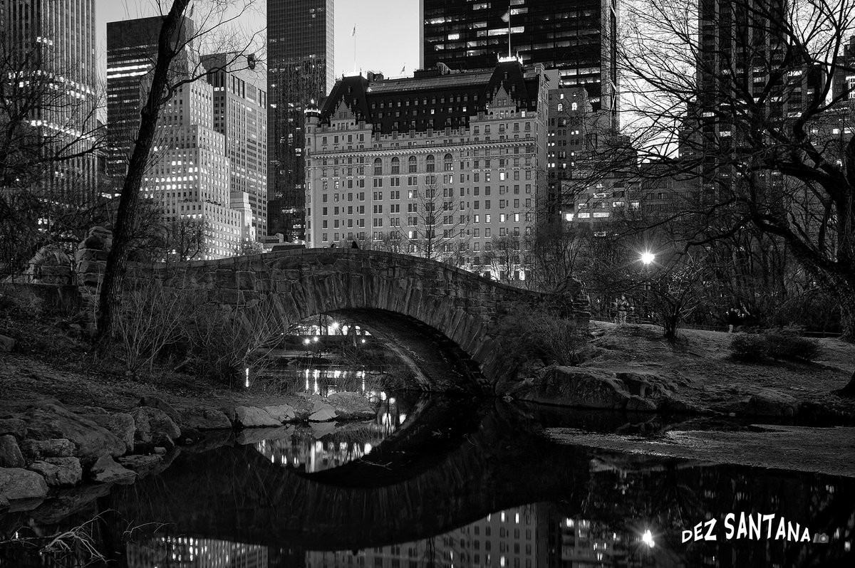 'The Ones Who Love Us, Will Miss Us'
 
@CentralParkNYC @NYC @discovering_NYC @yourtake 
#NYC #NewYork #NewYorkTough #BW