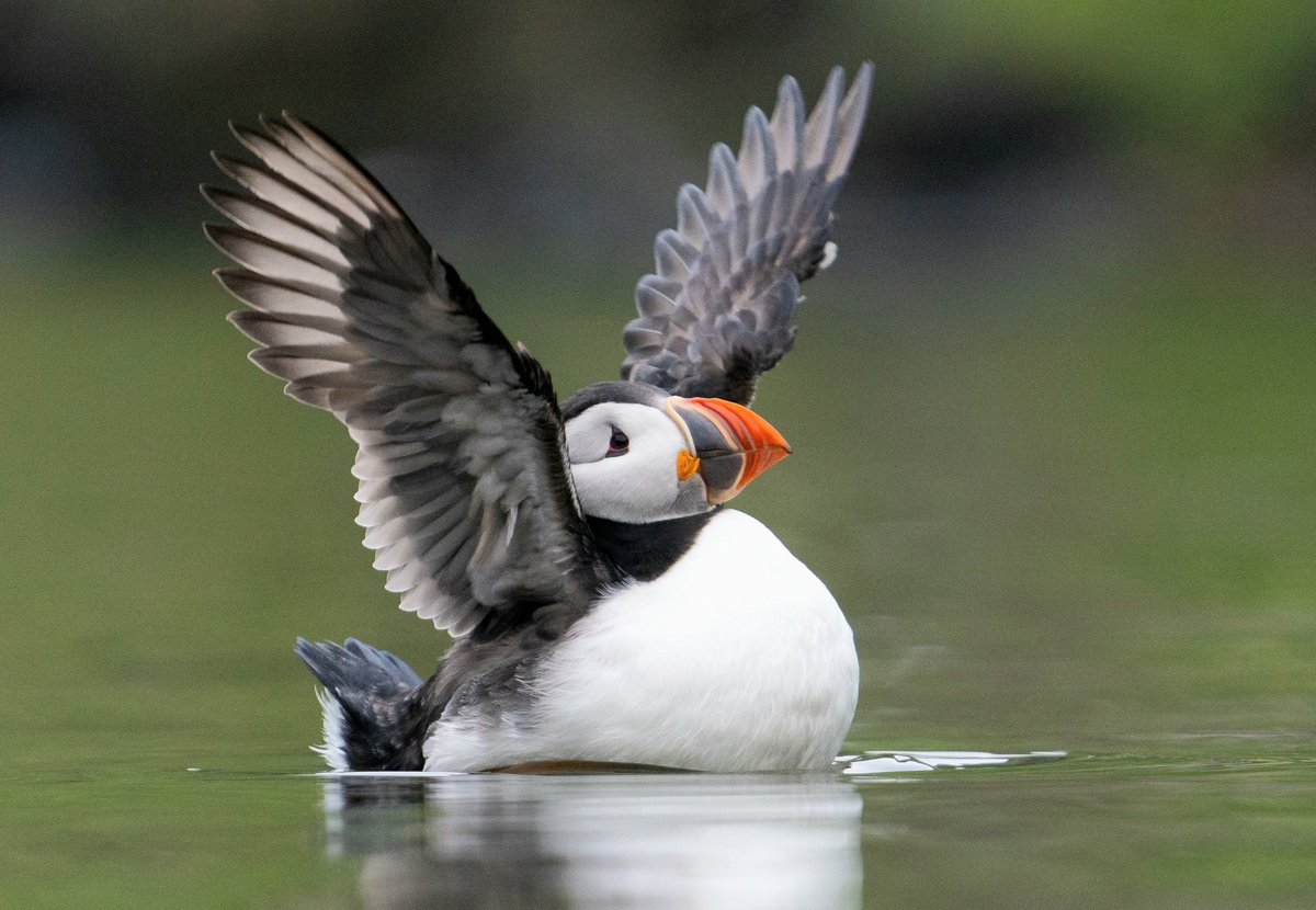 Sam Langlois tweet media