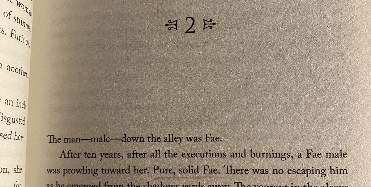 Rowan Whitethorn entered the chat
#HeirOfFire #ThroneofGlass