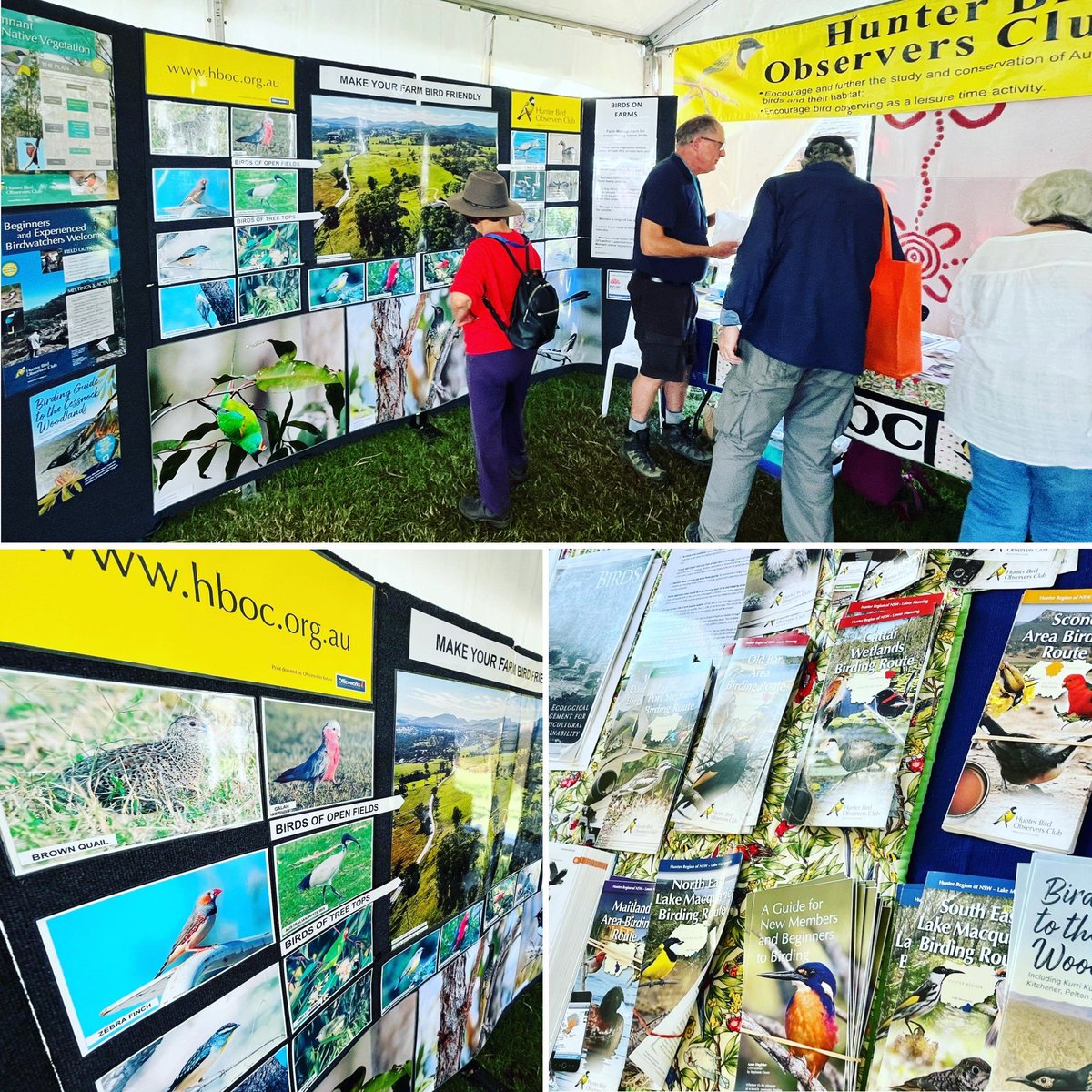 HunterBirders's tweet photo. Visit us at Tocal Field Days 2023!
Weโll be on-site Friday May 5 through to Sunday May 7 to talk birds (and nestboxes ๐ชบ) on farms. Find us in the Land, Plants and Environment section.
#tocalfielddays #birds #birdwatching #birdsonfarms #hboc #hunterbirdobserversclub https://t.co/su5WReWVMi