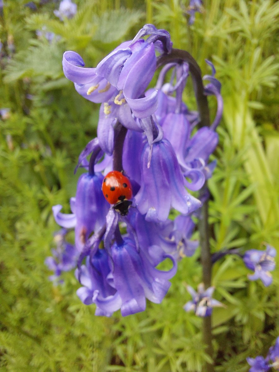 Emma Nylk tweet media