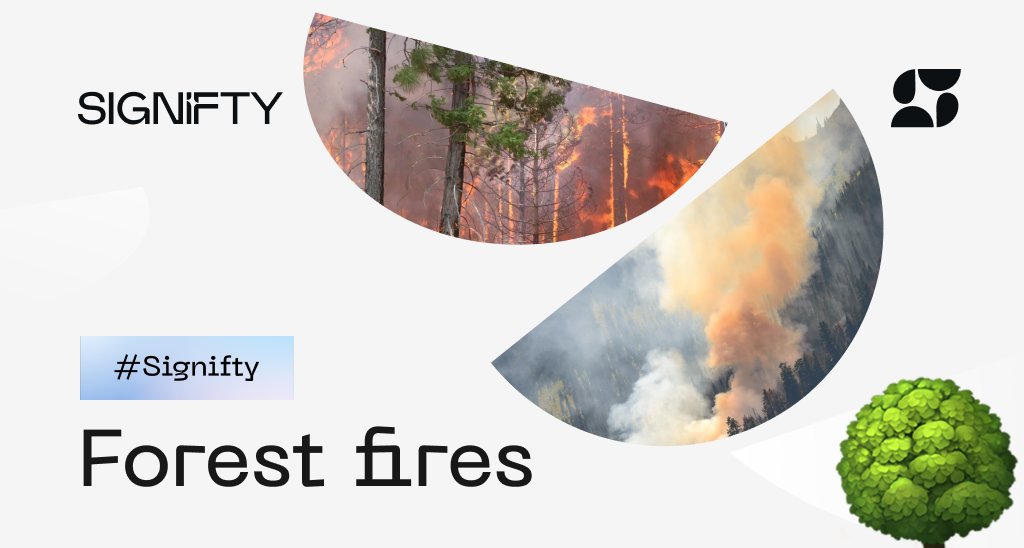 Let's talk about forests 🌳

Forests are the lungs of our planet.

But every day we are losing more and more of them to deforestation and forest fires.

We must act now to stop this.

Are you with us?