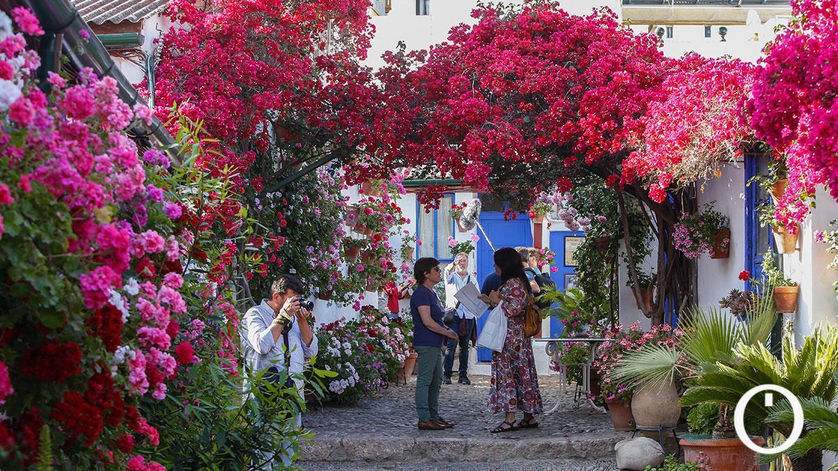 Y tras las Cruces... el 2 de mayo abrirán 63 patios de Córdoba cordopolis.eldiario.es/cordoba-hoy/so…