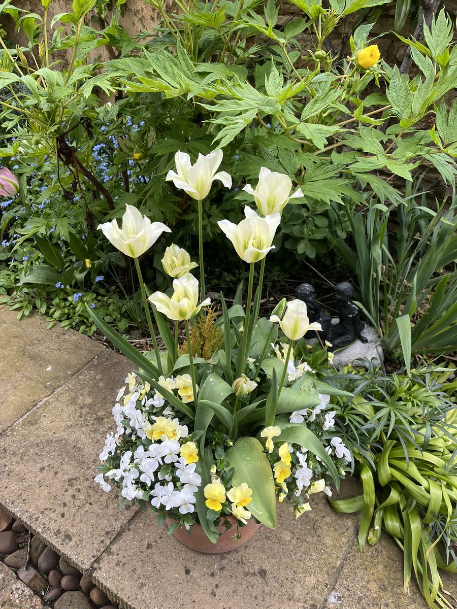 Barry Day tweet media