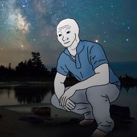 gm ladies and gents. it's early. the stars are still out. its beautiful. thank you for coming along for the ride with us. wagmi (truly). $BWOJAK