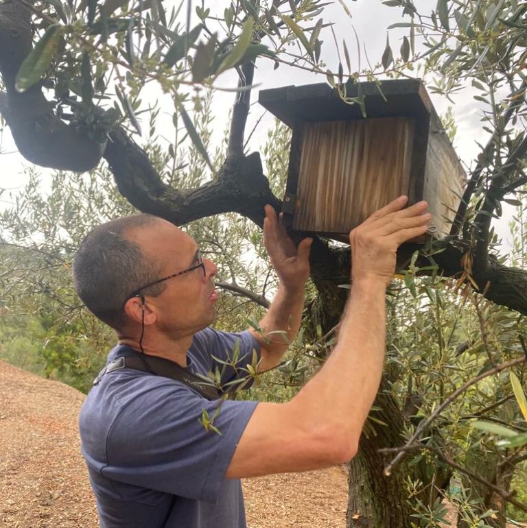 🐦 Revisió de les caixes niu que vam construir i col·locar fa uns mesos! Ja tenen els primers pollets i els hem anellat!
#grupcapreolus #caixesniu #anellament