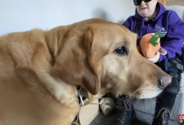 Phil Chapman tweet media