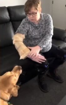 Phil Chapman tweet media