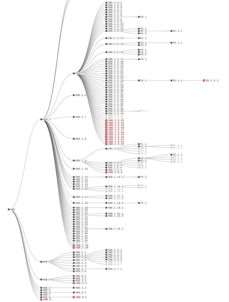 CiscoRucinski's tweet photo. #SARSCoV2 #PhylogeneticTree for XBB, BA.2.3.20, and BQ.1
Black - Recognized by #NextClade
Red - Recently added designation https://t.co/QsEZGHw1UM