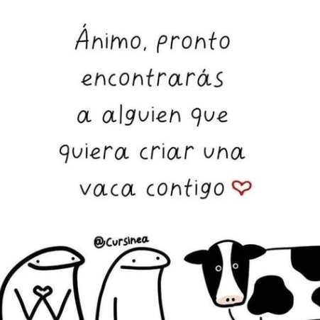 json_roa's tweet photo. Shi https://t.co/cErCjRgAAl