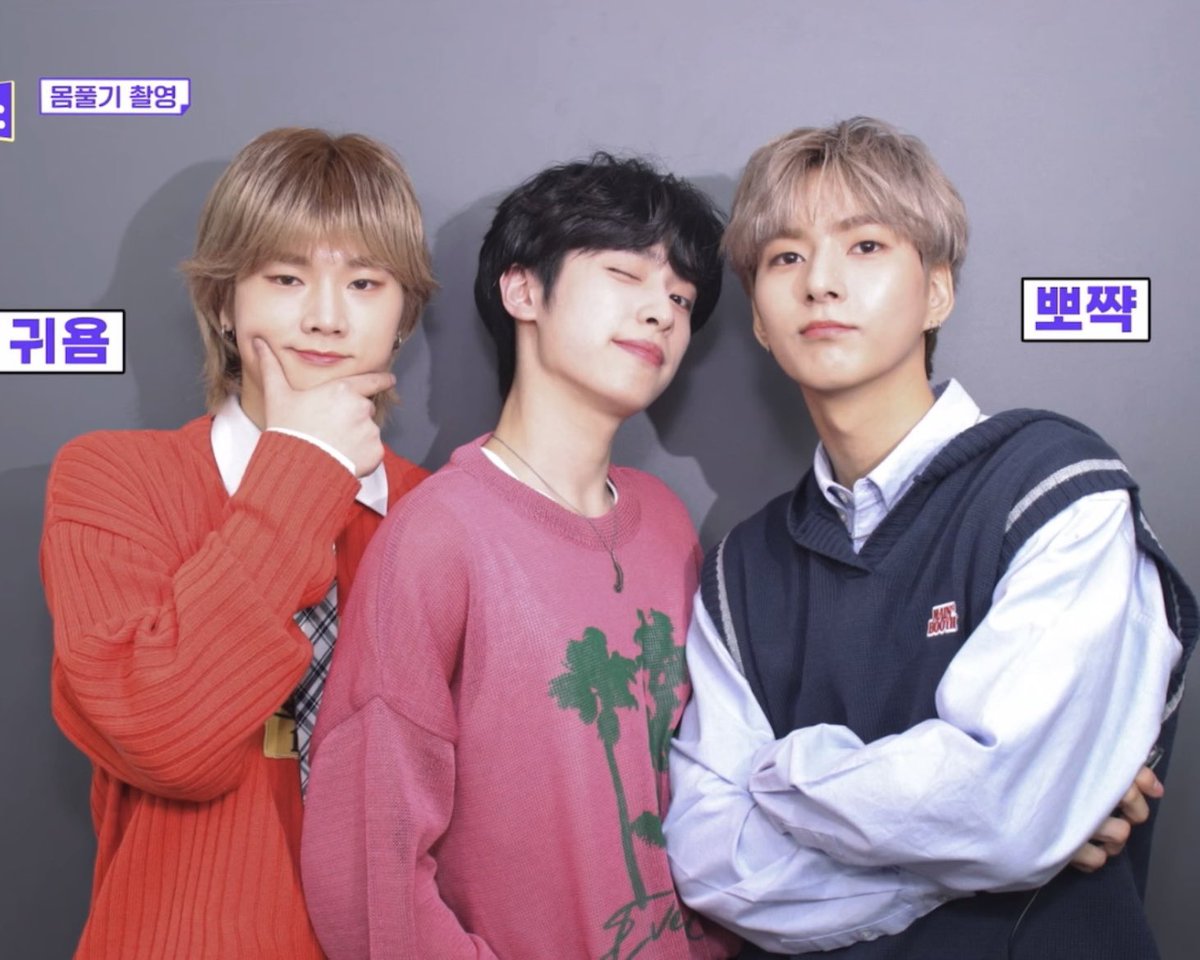 senny 🖇️ tweet media