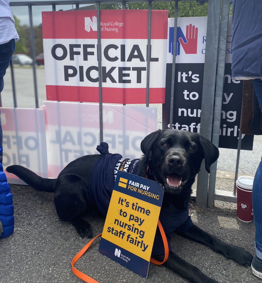 It’s ‘ruff’ for our nurses right now. I lay in solidarity to reject the a-paw-ling offer of 5%.

@thercn 
#fairpayfornursing #safestaffingsaveslives