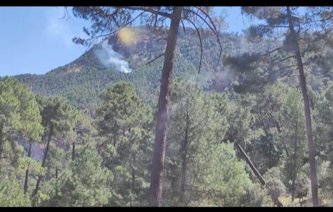 Plan_INFOCA's tweet photo. 🔴 DECLARADO #IFSiles (Jaén).

MEDIOS:
👨‍🚒 2 grupos de bomberos forestales, 1 técnico de operaciones y 2 agentes de medio ambiente
🚒 1 autobomba 
🚁 1 semipesado https://t.co/9cZEHk5PVA