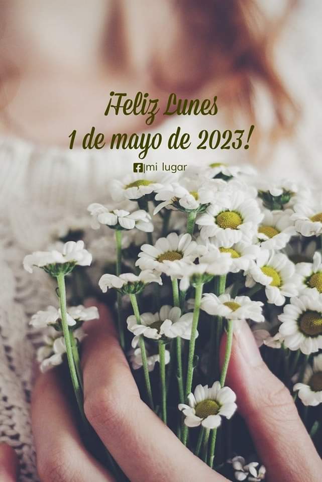 Felíz día del Trabajador ⚧️ en General!💪