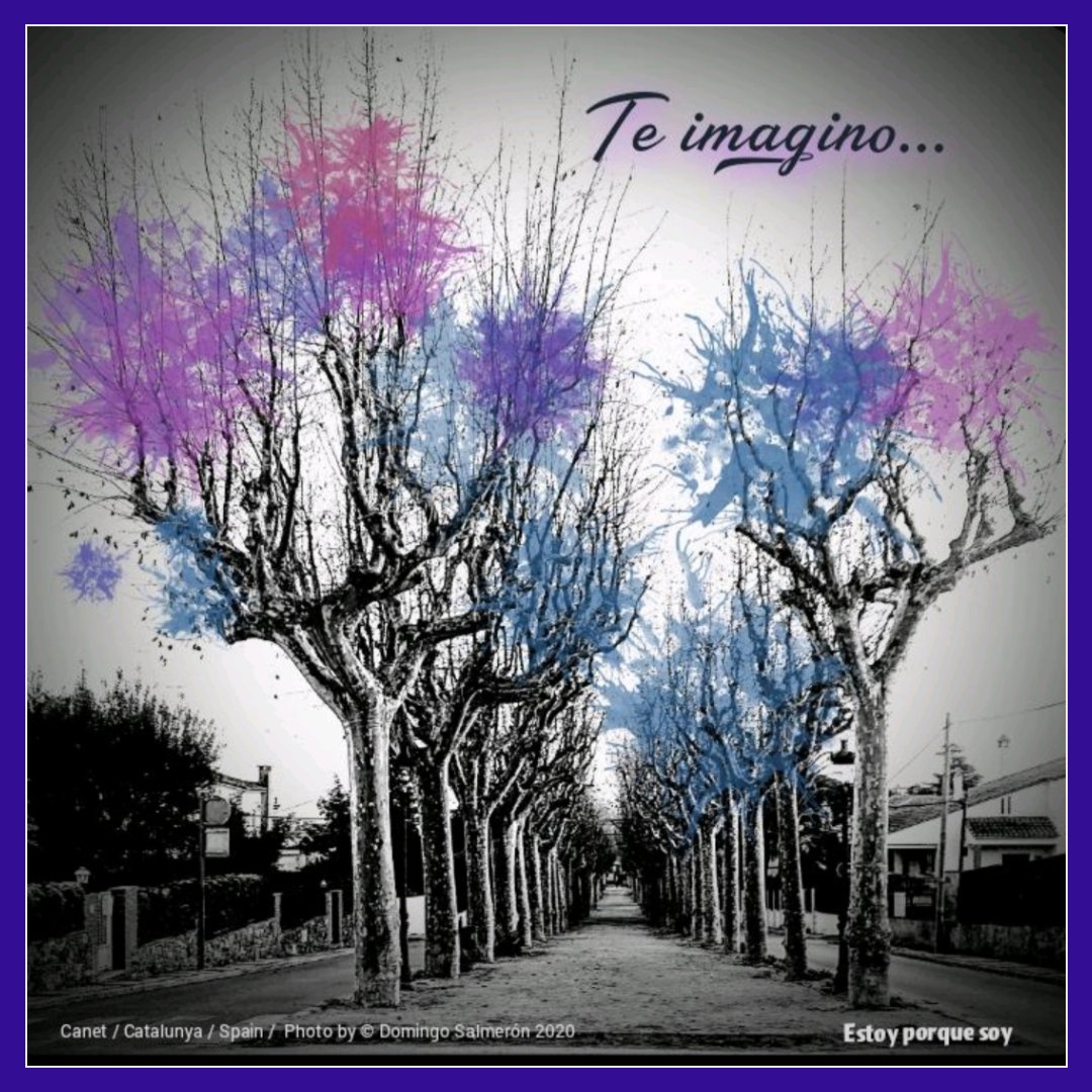d_almas's tweet photo. "Te imagino"

El día languidece entre penumbra de colores que se apagan con el crepúsculo nocturno,

Y de vez en cuando busco tus palabras cerrando mis ojos que te abrazan en soledad...

Domingo Salmerón  
📖  'Palabras desencadenadas' 
https://t.co/WIqXATHonn https://t.co/p5oZcMlRbC