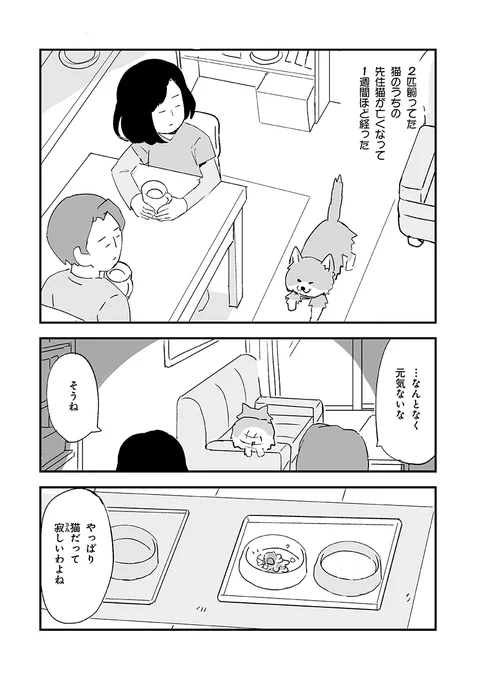 猫だって故を思うのかもしれない話 #漫画が読めるハッシュタグ #人から聞いた不思議な話を漫画にしてみた