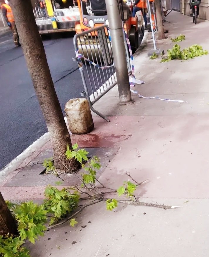 CAPAJmontrouge's tweet photo. ⚠️Cette semaine #Fayolle refaisait le bitume de la chaussée av. Verdier : aucune protection des arbres, branches arrachées à la volée💯
🌳Toujours aucun égard pour les #arbres à #Montrouge / alors que toutes les autres les villes se mettent à prendre soin de ce #patrimoine #vital https://t.co/Mk9WLqeypO