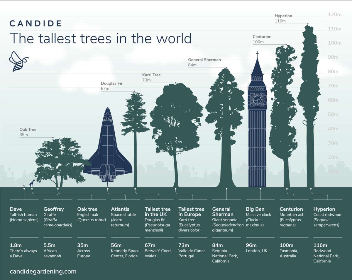 WildStagTH's tweet photo. Happy Monday, something to put us in perspective! Have you visited any of these icons?
Have a great day yโall ๐ฆ
#GetBackOutdoors https://t.co/KbNKoCCVEY