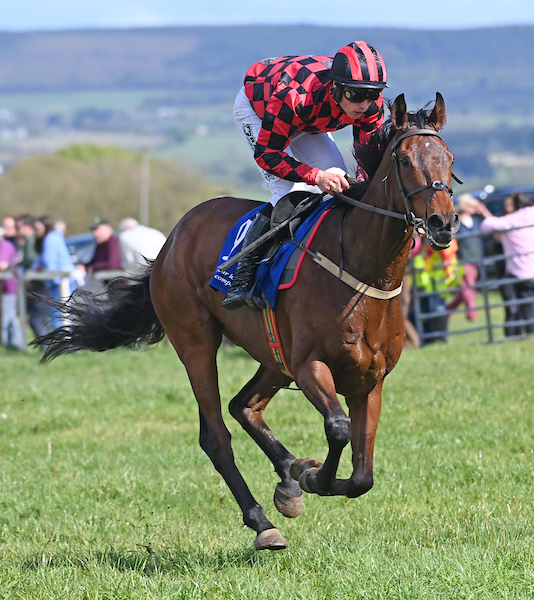 Irish National Hunt Steeplechase CLG tweet media