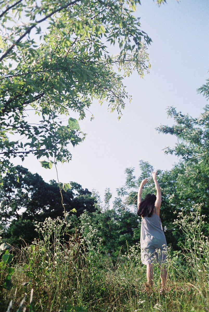 初夏の匂いが好き

#film #LeicaM4