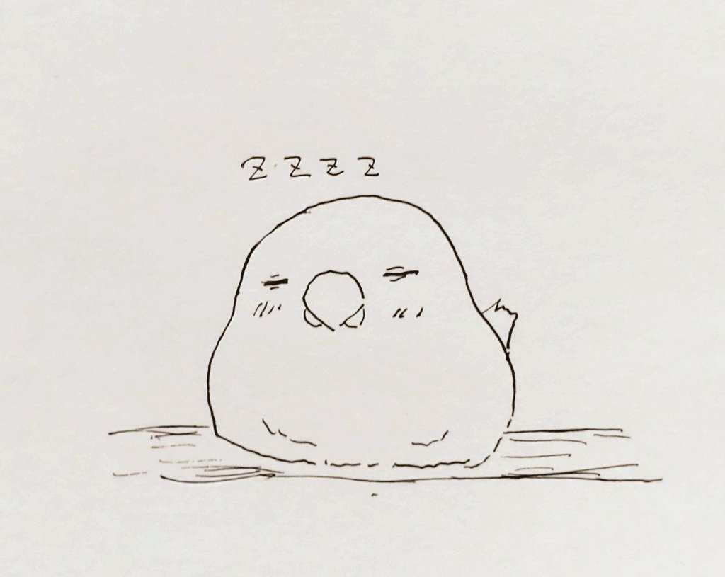 居眠り🐦