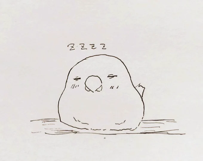 居眠り🐦