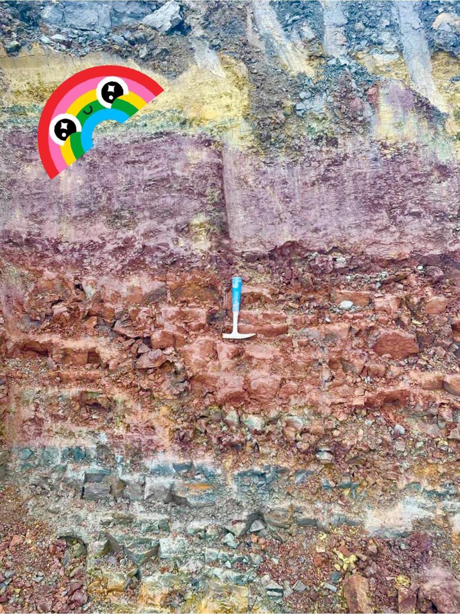 Ben Thuy & Lea Numberger tweet media