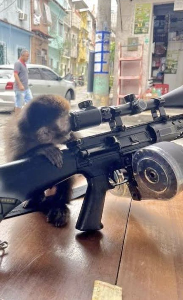 Traficantes estão mantendo animais silvestres em suas casas. Por favor, façam essa msg chegar à Luísa Mell.