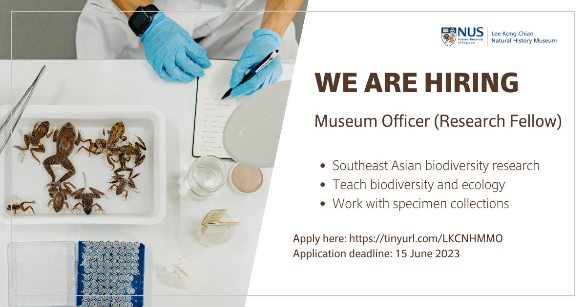 [Job Opportunity] We are looking for a Museum Officer (Research Fellow) who is passionate about research on Southeast Asian biodiversity, educating NUS students about biodiversity and ecology, and working with specimen collections.

🔗: careers.nus.edu.sg/job-invite/201…
