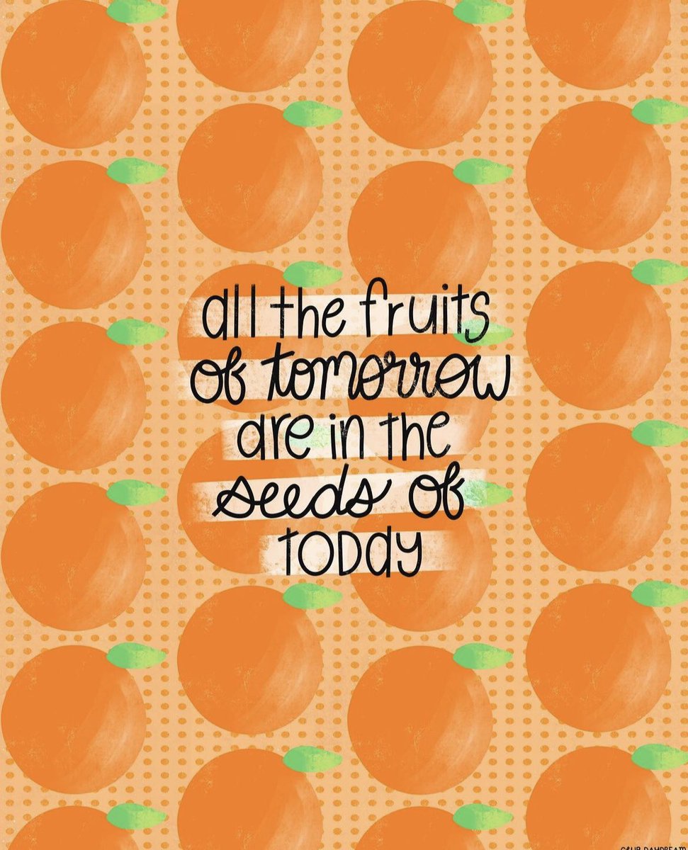 Keep planting 🌱☀️🌱