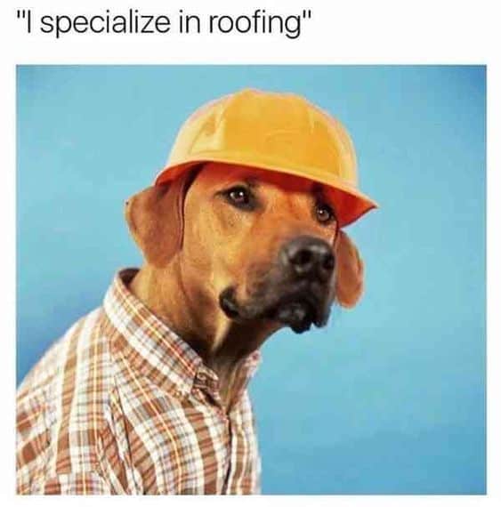 Call Go Roof Tune Up for any of your roofing needs! 

866-989-6976

#roof #roofer #roofing #roofingcontractor #roofingspecialist #roofroof #dog