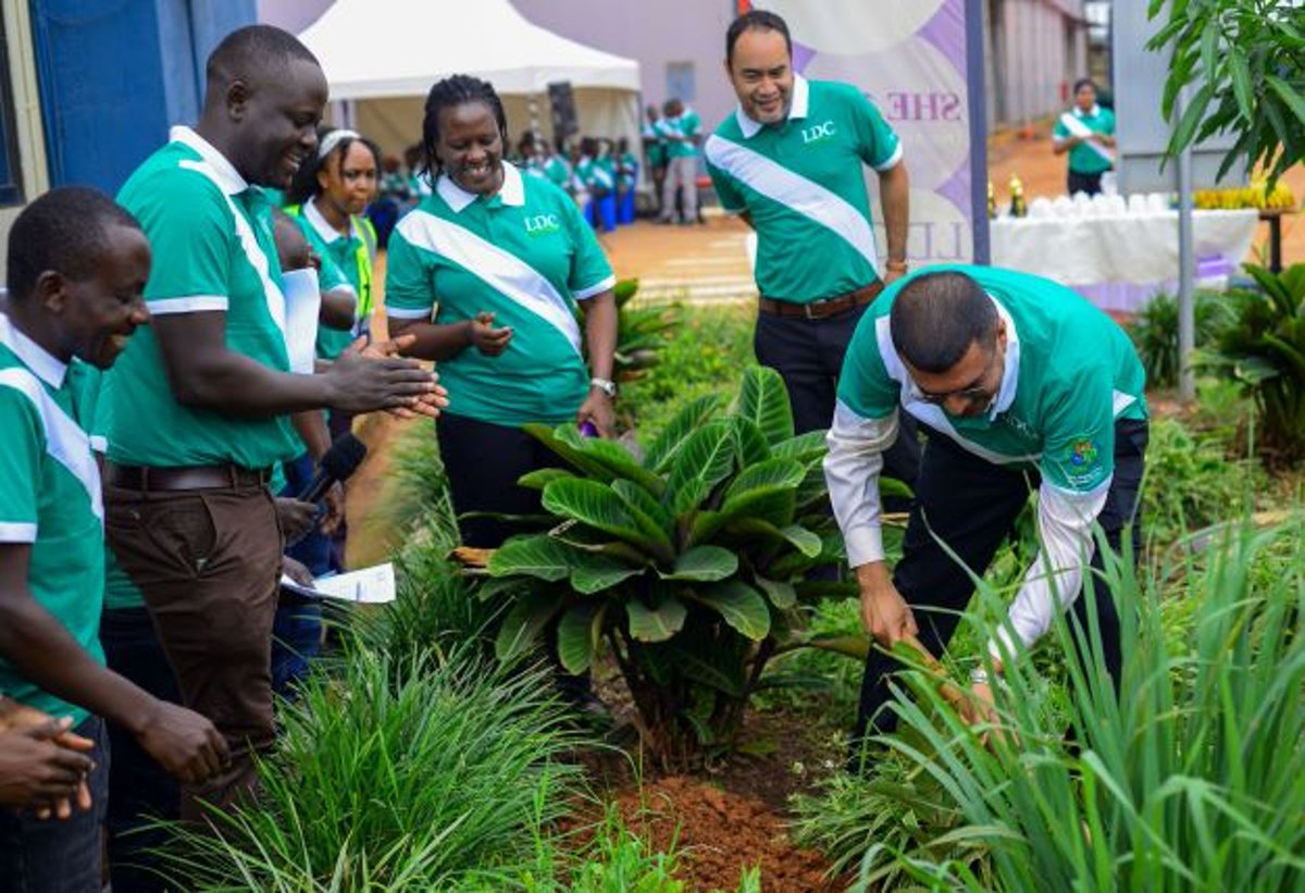 WeAreLDC's tweet photo. Prioritizing #safetyandhealth is part of our DNA!
Learn more about our Safety, Health and Environment efforts, and how we ensure all of #TeamLDC prioritizes #SHE365 days a year, for a safer, more sustainable future of food and agriculture.
https://t.co/WKeLScwtO5
#SHEDay https://t.co/HrN81m4PF1