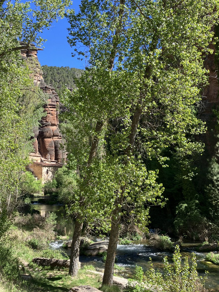 Óscar Pardo dl Salud tweet media