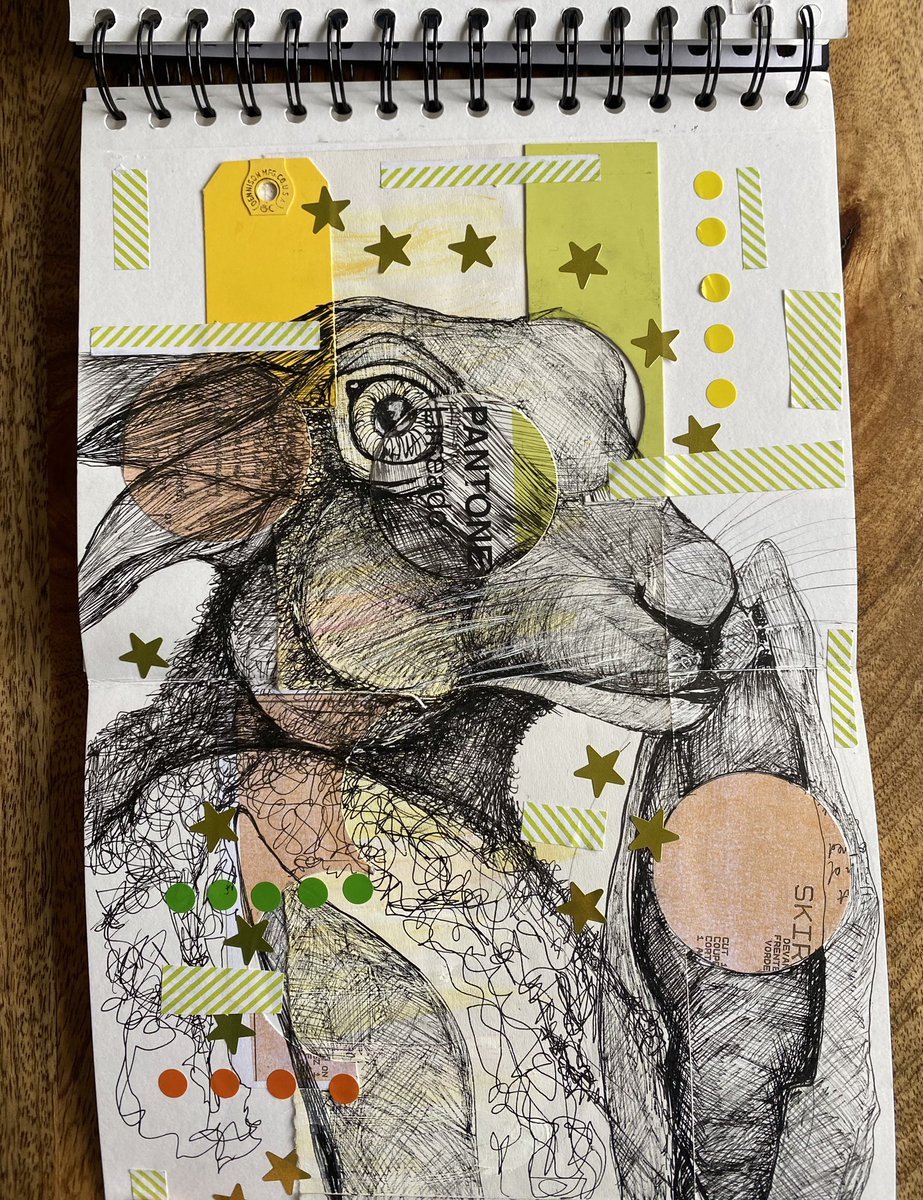 sarah1_art's tweet photo. A few years mages from this months @sketchbkcircle canโt wait for the month of Mays drawing #artontwitter #springartwork #birodrawings #drawingsoffish #drawingsofhares #drawingsofnature #howesheprints #_arts_howe https://t.co/ZAn2bhJQ9U