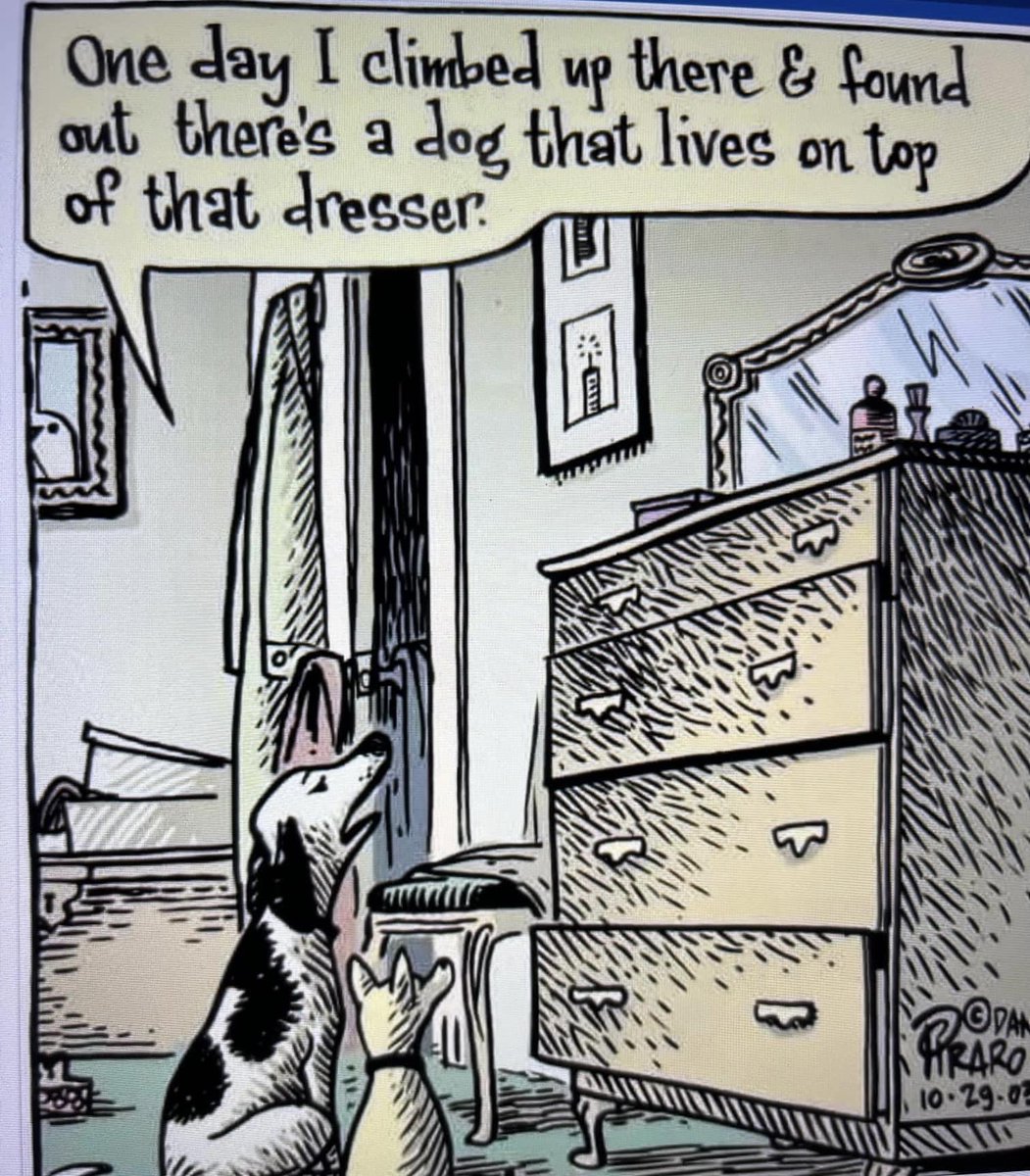 SayItOnAshell's tweet image. 