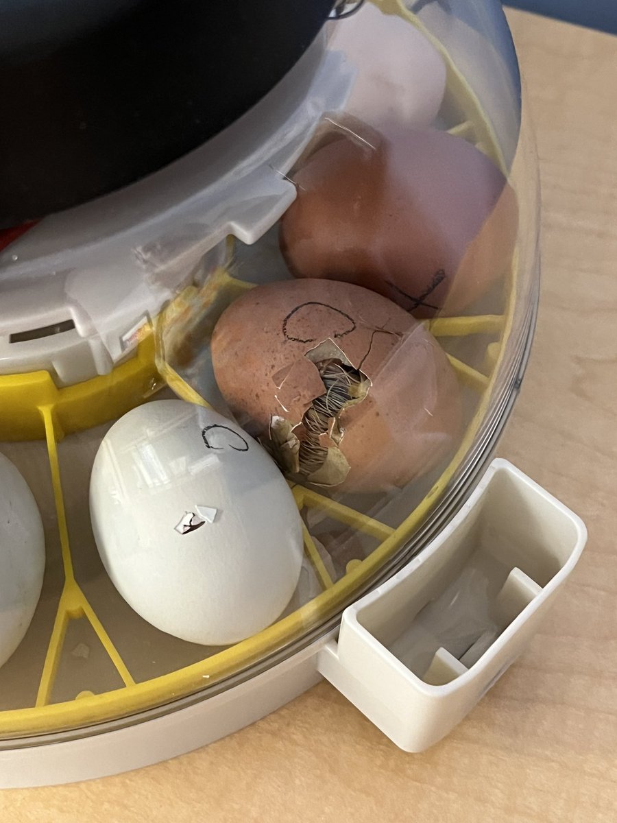 TerraCentreES tweet media