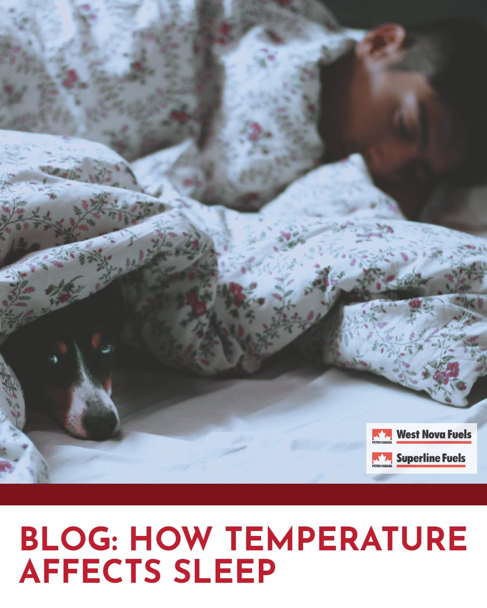 West Nova Superline tweet media