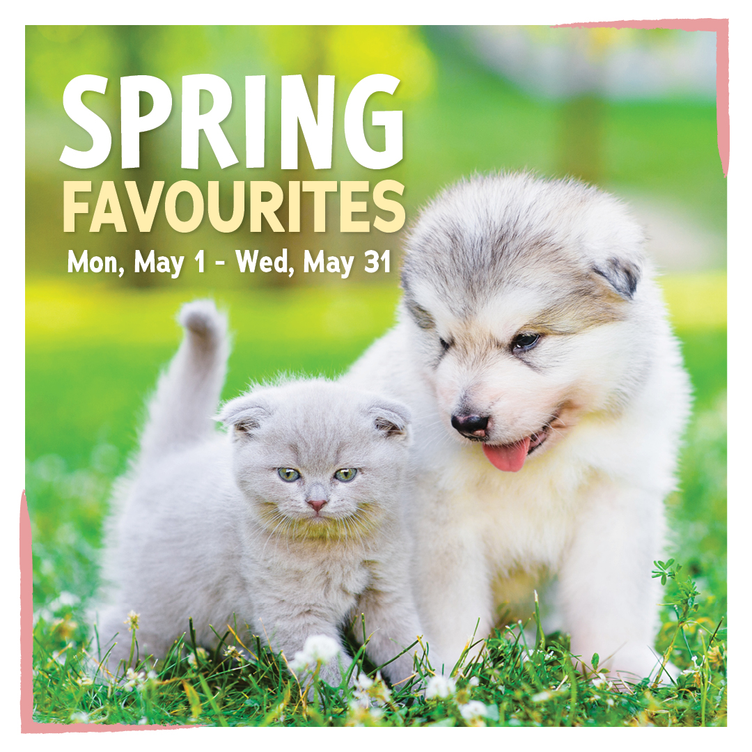 Hello, MAY 🌞🌸

Our Spring Favourites Sale is on NOW! Shop pawesome toys, treats and more in-store or online here: renspets.com/pages/flyer

#PetsBestLife #dogs #cats #dogsofcanada #spring #outdoors #play #pets