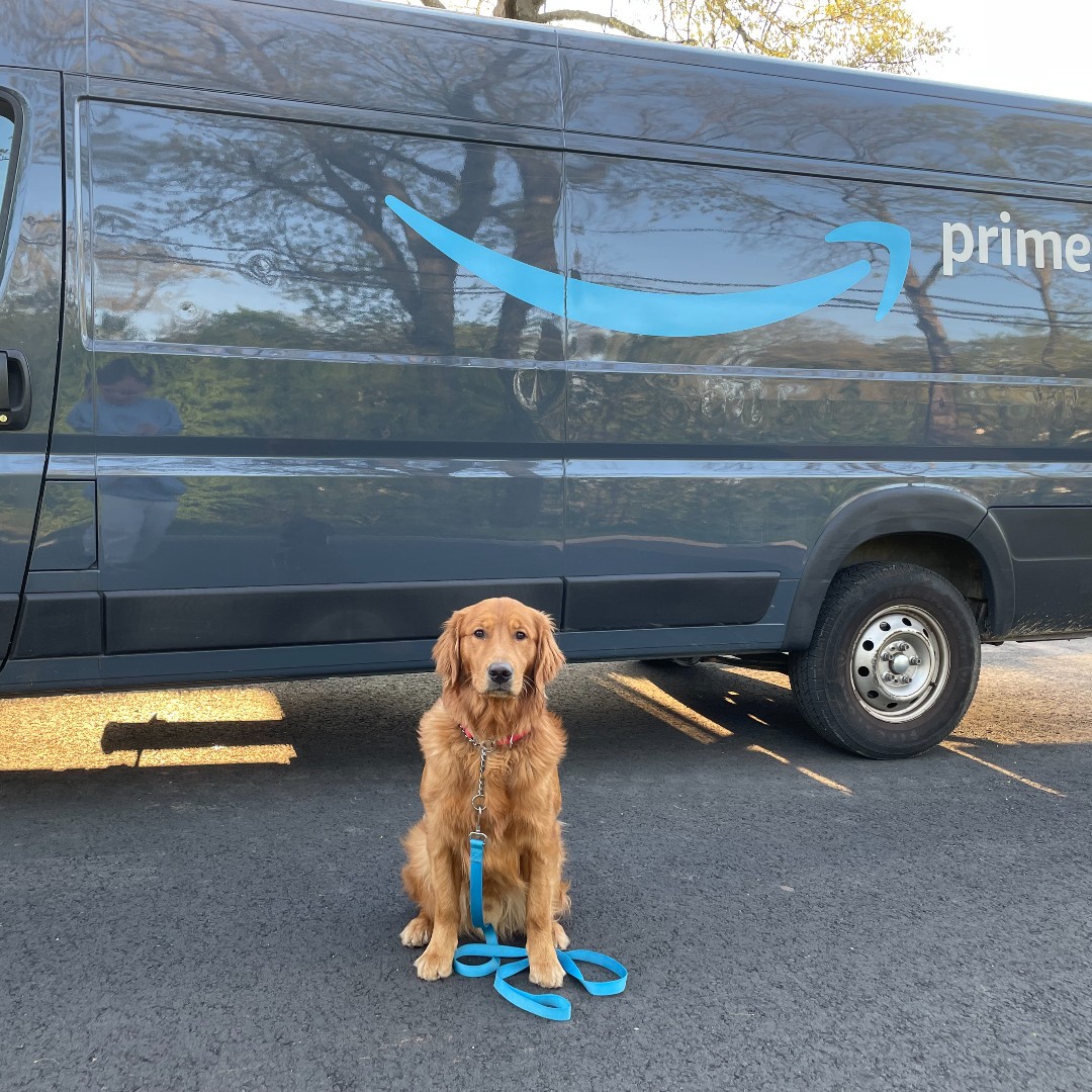 ECADServiceDogs's tweet photo. Golden Delicious waiting for his items from the Amazon wishlist ππ
ποΈ https://t.co/PkNdwSx7Dr
#ecadservicedogs #servicedogsintraining #workingdogs #servicedoglife #assistancedogs #mobilitydogs #puppy #amazon #wishlist #donate #prime #ecad #changinglives4pawsatatime #comingsoon https://t.co/JpXG2d5Lur