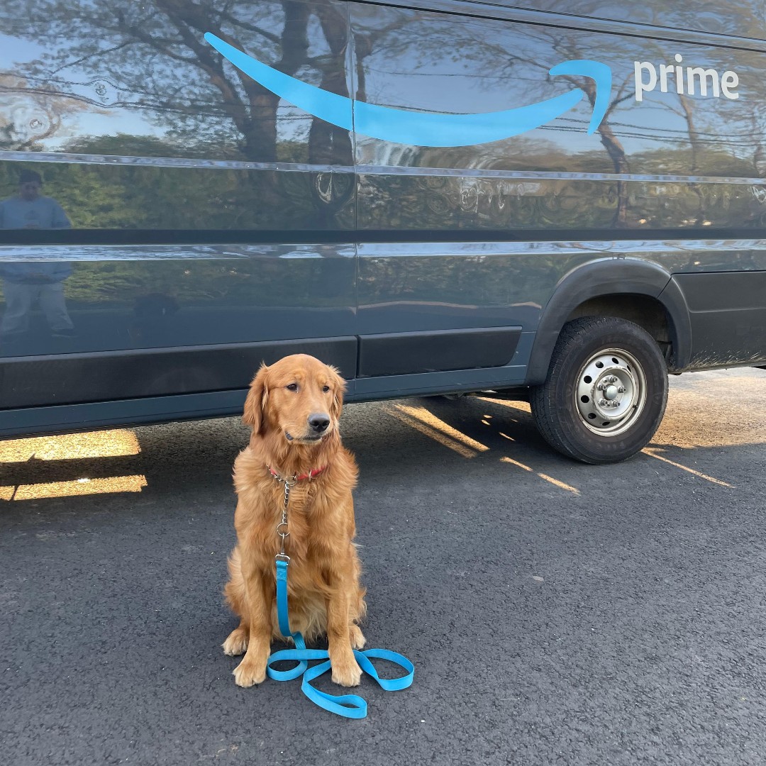 ECADServiceDogs's tweet photo. Golden Delicious waiting for his items from the Amazon wishlist ππ
ποΈ https://t.co/PkNdwSx7Dr
#ecadservicedogs #servicedogsintraining #workingdogs #servicedoglife #assistancedogs #mobilitydogs #puppy #amazon #wishlist #donate #prime #ecad #changinglives4pawsatatime #comingsoon https://t.co/JpXG2d5Lur