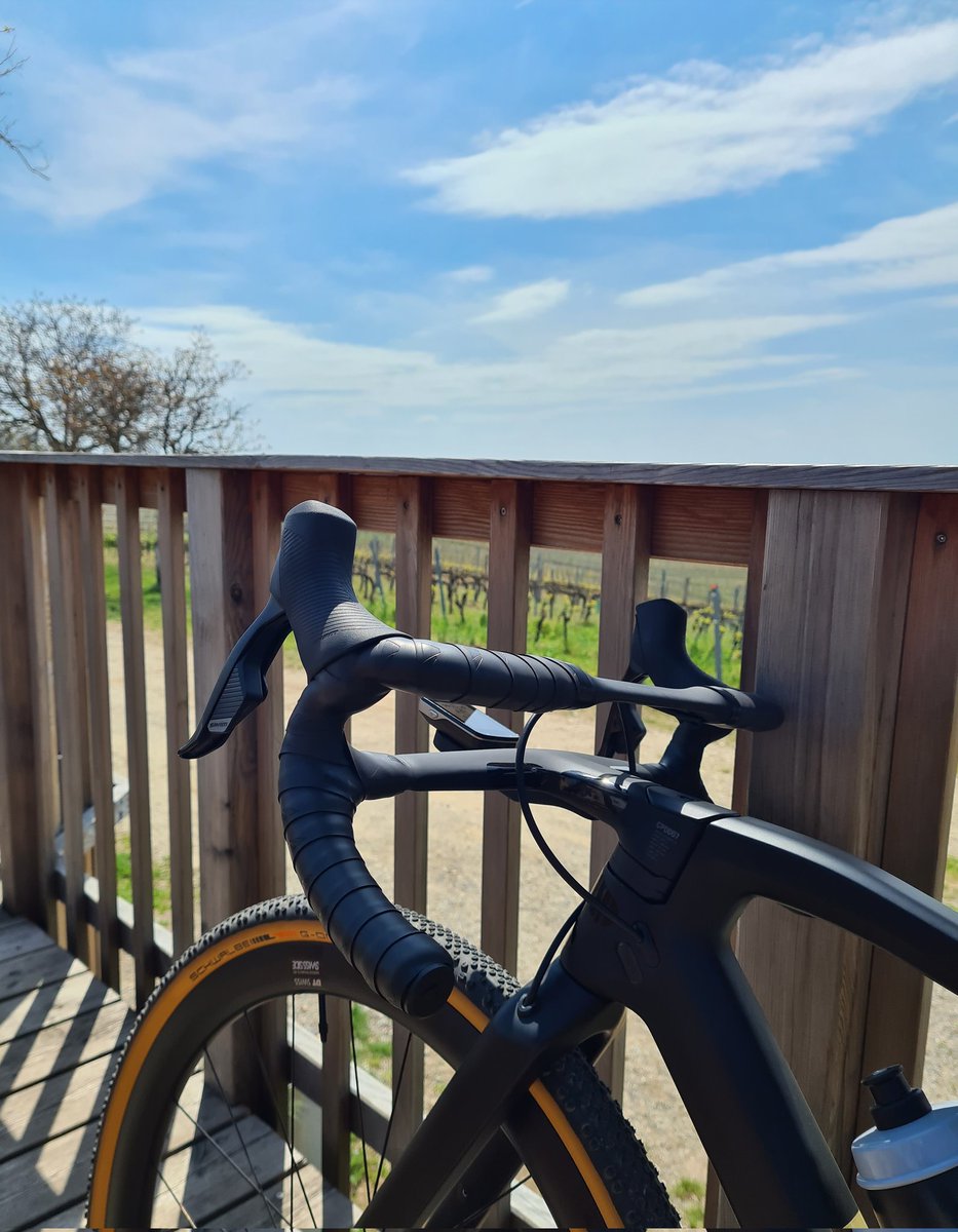 Tortue_73's tweet photo. A bissal mit dem #Gravelbike zwischen #Neusiedl und #Halbturn radeln 😍
#Cassiopeiaradelt https://t.co/tUY0jT1z8k