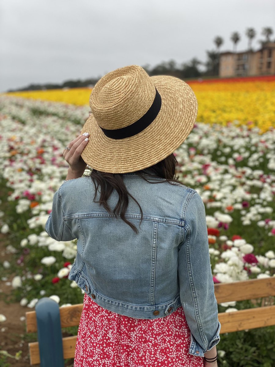 Back on the East Coast after a week in California for the #WPLNSummit, reunions with my college roomies, and flower fields!