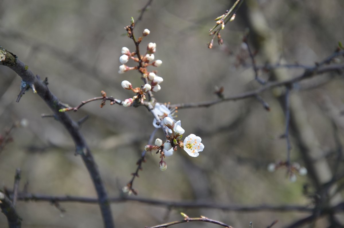 intimates_of's tweet image. Go get some fresh air! 💕
onlyfans.com/intimates