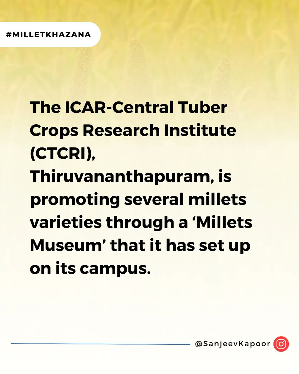 SanjeevKapoor's tweet photo. Here's the Buzz happening around Millets!
#MilletKhazana
#365DaysOfMillets #MilletwithSK #ThisYearMillets #YearOfMillets #WorldOnMillets #IndiaOnMillets #IYOM2023 #Millet https://t.co/fjzBjBANuU