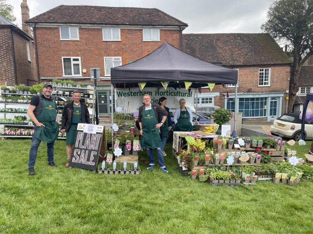 Great plant sale on Westerham Green today 🌷☀️🪴🌻🌸